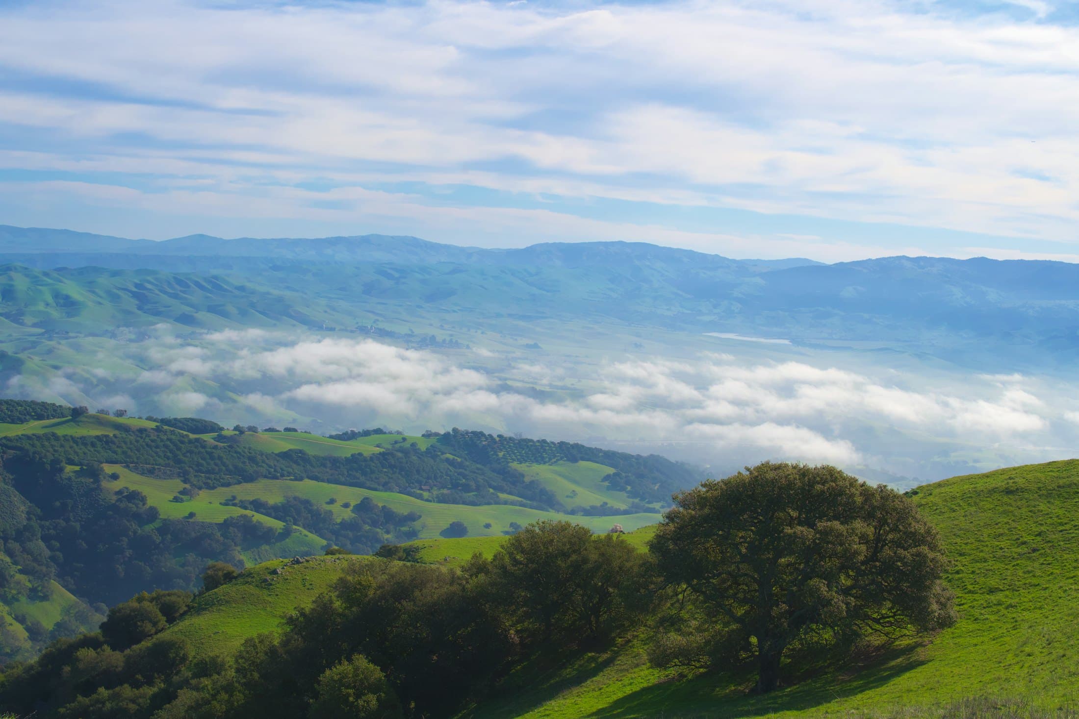 Oak-covered hills above a fog-filled valley on California's Central Coast